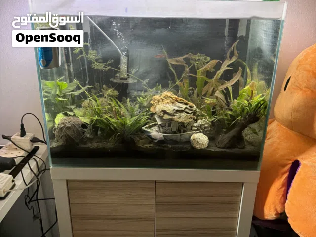 للبيع حوض سمك