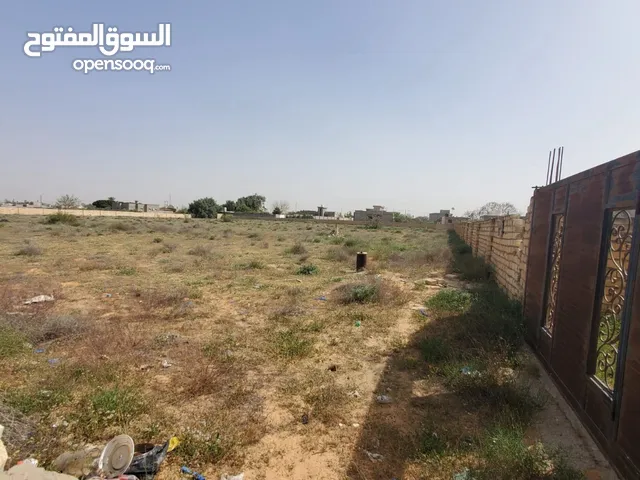 السلام عليكم  ارض مساحتها 8300 متر البيع فى وادى الربيع