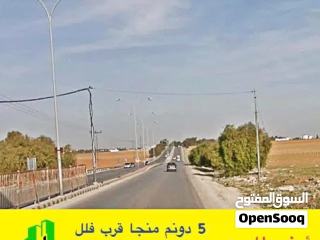 Farm Land for Sale in Amman Other