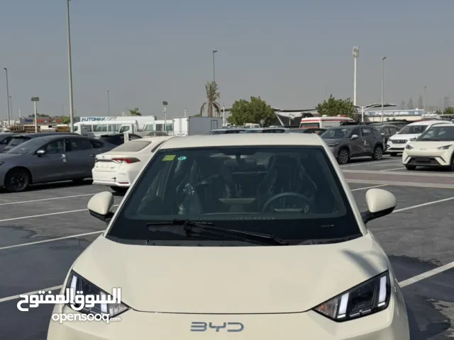 بي واي دي سيجول الكهربائية بالكامل 2025 زيروا