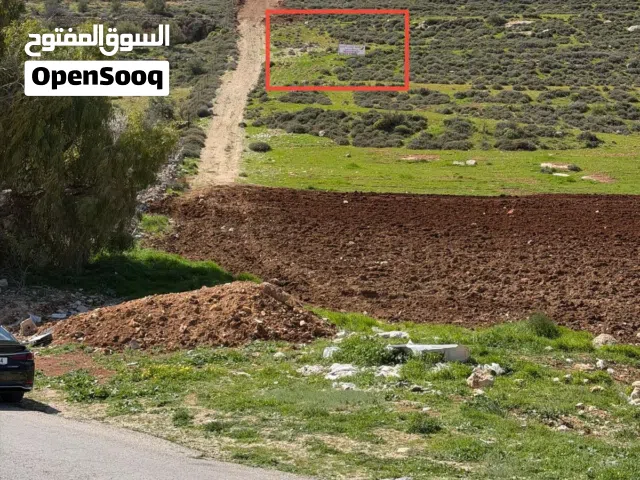 Residential Land for Sale in Amman Naour