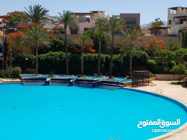 1 Bedroom Chalet for Rent in Aqaba Ayla