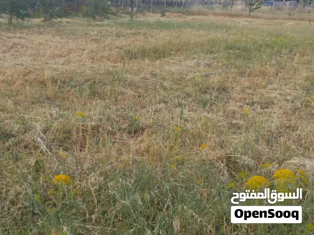 Mixed Use Land for Sale in Amman Al-'Al