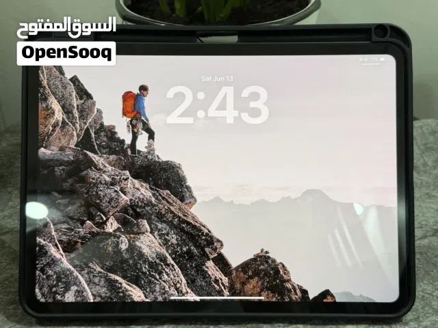 iPad pro M4 11inchs 256