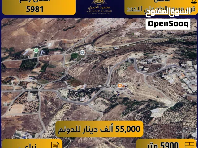 Farm Land for Sale in Amman Mahes