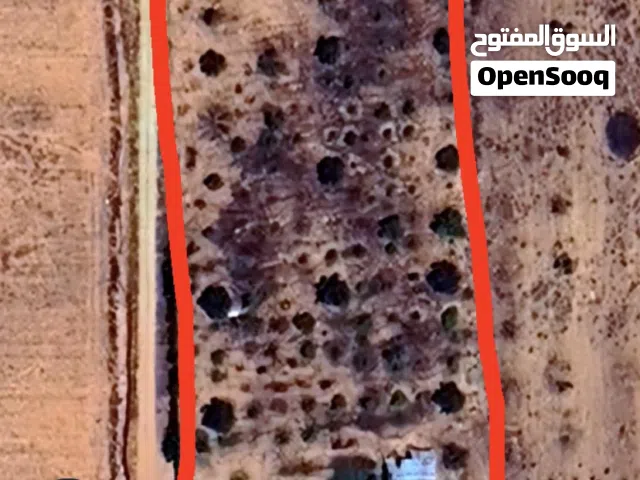 Farm Land for Sale in Tripoli Gasr Garabulli