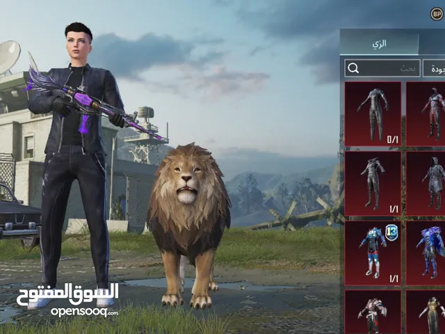 Pubg Accounts and Characters for Sale in Sana'a