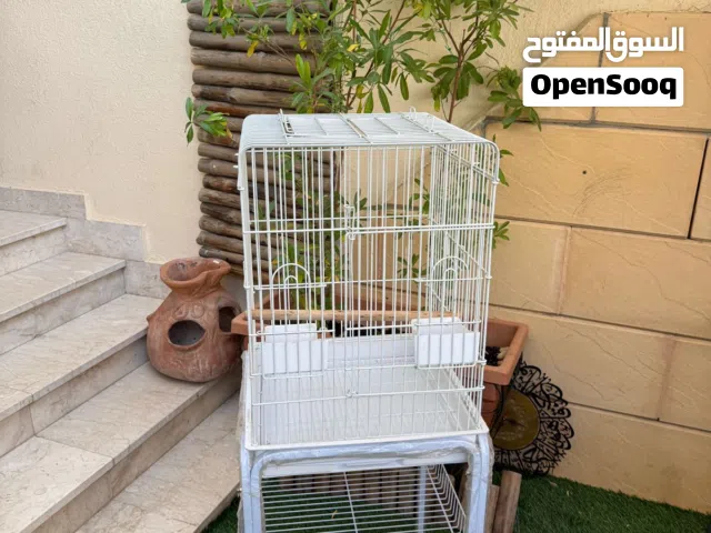 قفص و ستاند شبه الجديذ مستخدم مرتين بعدين الطير مات