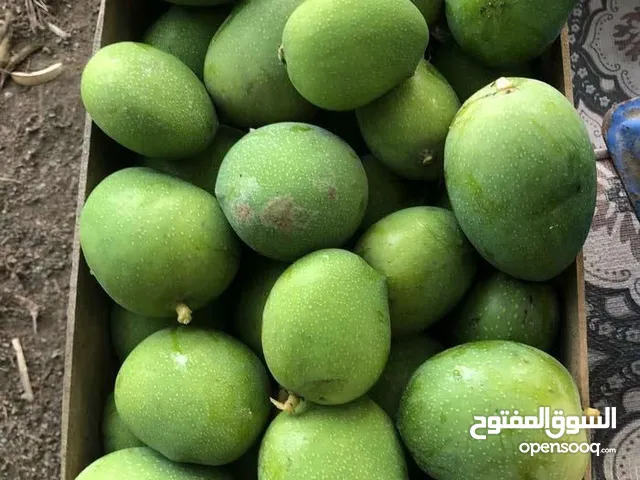 امبا اخضر عماني حامض (حدال)