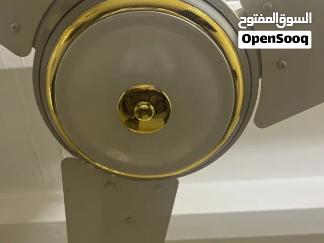 مرواح باكستاني A.D.Y الأصلية