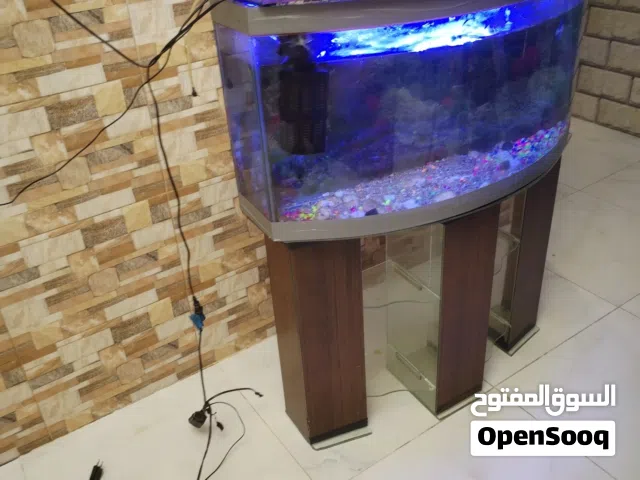 حوض سمك للبيع