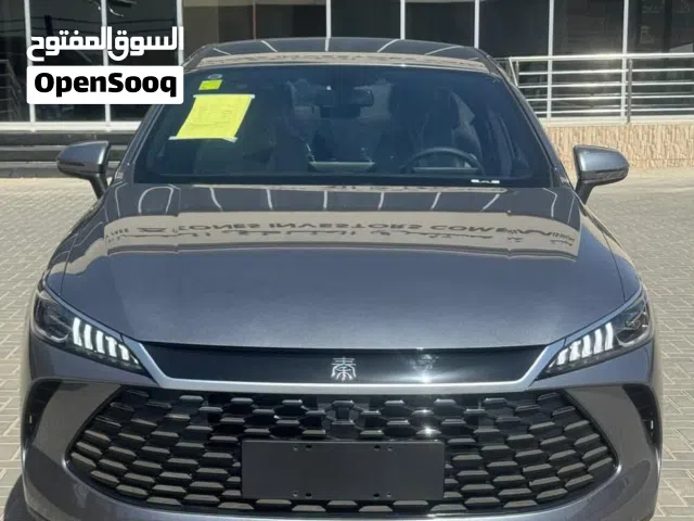 2025, بي واي دي, كين