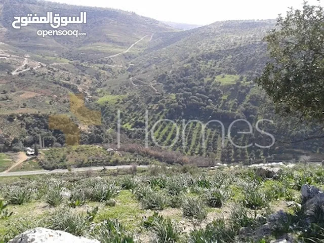 Residential Land for Sale in Amman Iraq Al Ameer