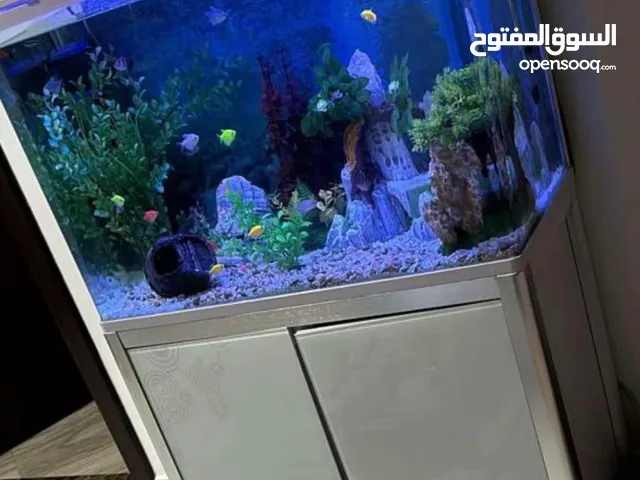 Big and modern Fish aquarium very clean for sale with the accessories and decoration_ all together