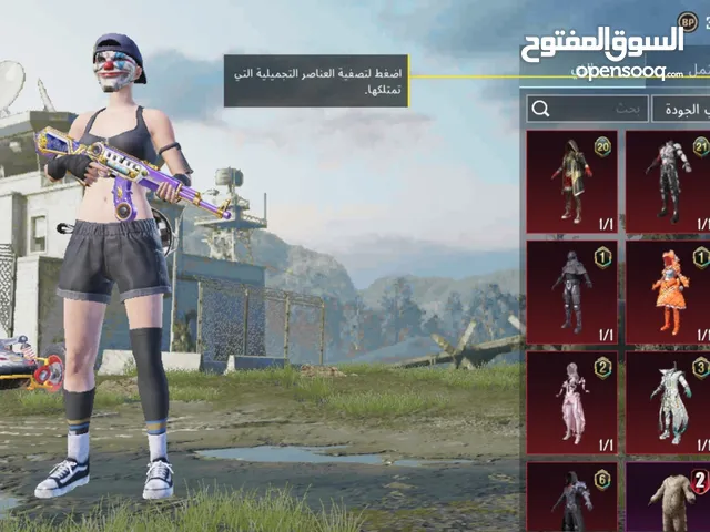 Pubg Accounts and Characters for Sale in Irbid