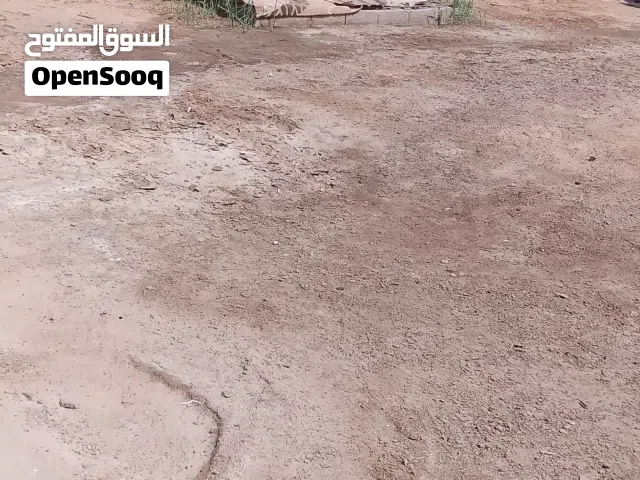 قطعه للبيع طابو صرف زراعي تنومه شارع4