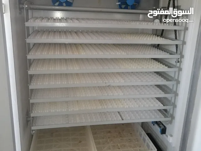 فقاسة 2112 بيضة