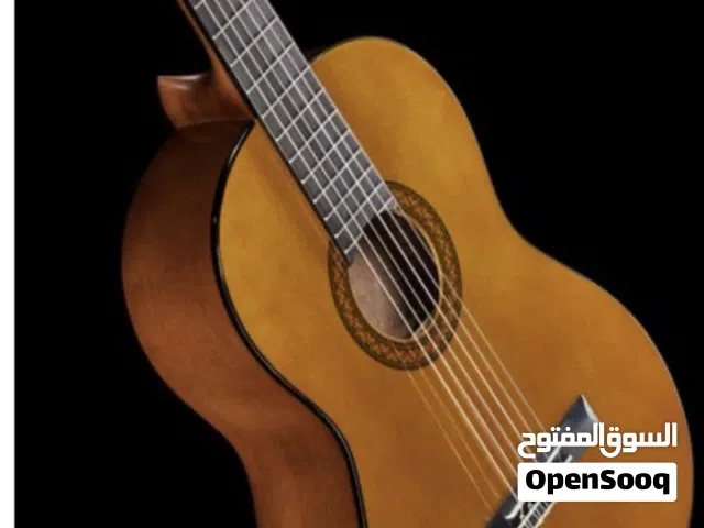 Ibanez Classic Guitar GA3 - Yamaha C40 Classical Guitar