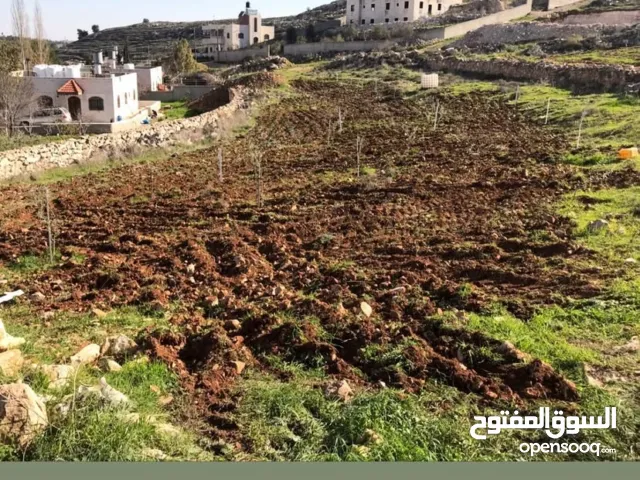 ارض 2 دنم و123م المنطقة الخليل -سنجر خلف كازية الجنوب