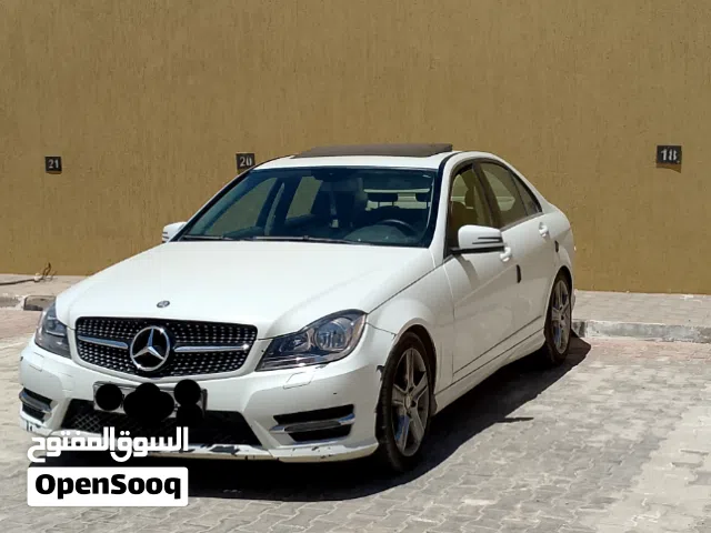 2010 Mercedes Benz C-Class C 300