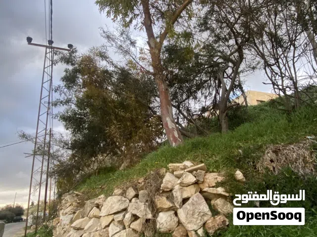 Residential Land for Sale in Amman Marj El Hamam