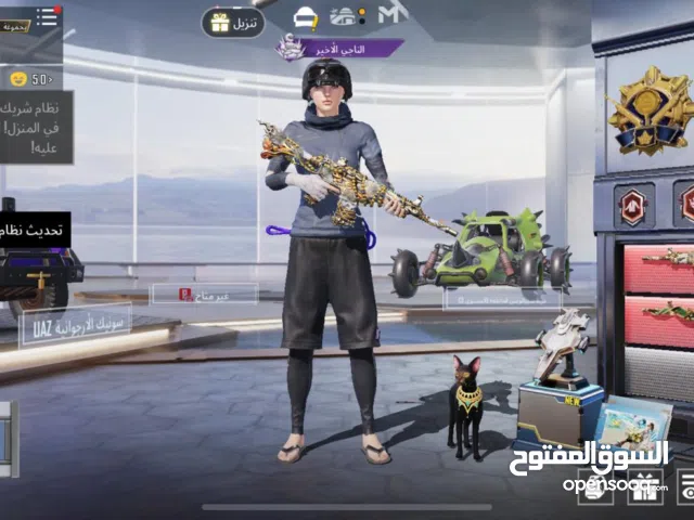Pubg Accounts and Characters for Sale in Southern Governorate