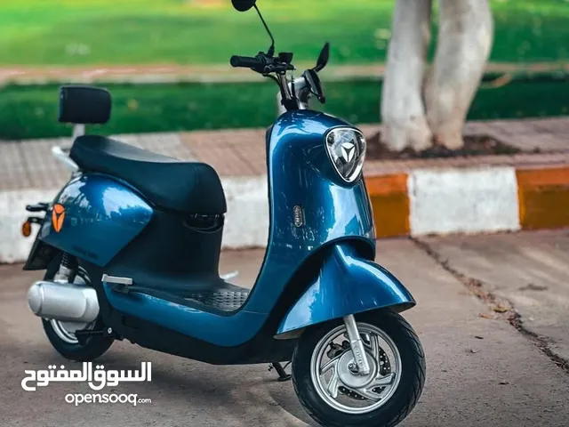 متر كهربائي للبيع من شركة ياديا العالميه يمشيك بالشحنه 70 كيلو