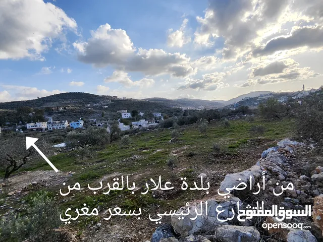 Mixed Use Land for Sale in Tulkarm Atil