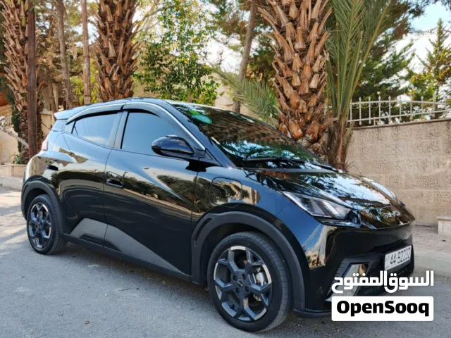 2024, بي واي دي, سيجول