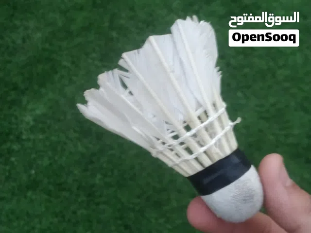 تنس ريشة مع مضارب عدد 2 وريشة عدد 2  ومع شنطة جيدة وقابلة التعليق في أي مكان المكان الخليل  بيت أمر