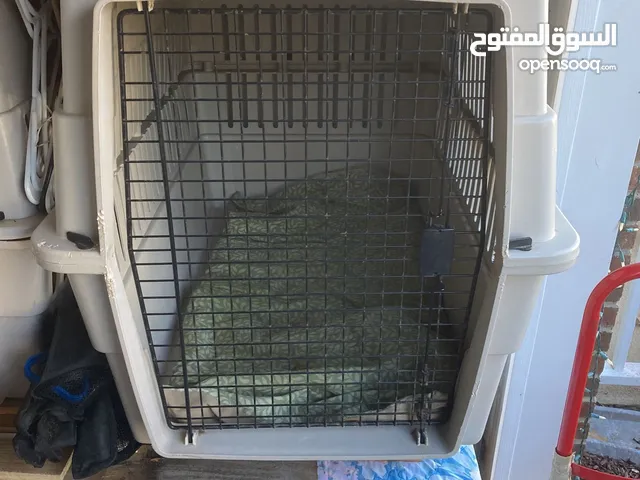 مستلزمات كلاب من براندات فاخره