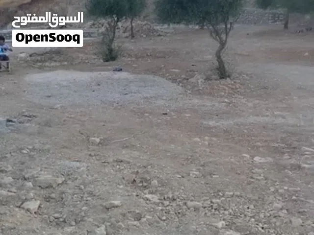قطعة ارض مزرعة 4 دونم جاهزة للبناء اسوار سناسل شيك تقع في أجمل مواقع جلعد وبالقرب من عدة مزارع