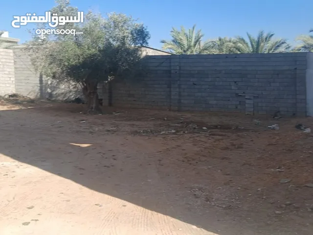 Residential Land for Sale in Tripoli Ain Zara
