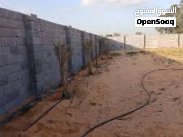 مستشفي الخضراء