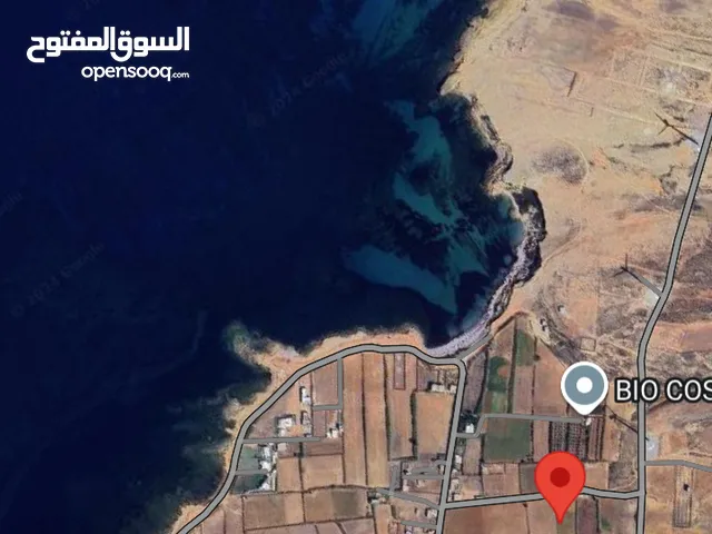 قطعة ارض مساحتها 2500متر مربع قريبة من البحر.