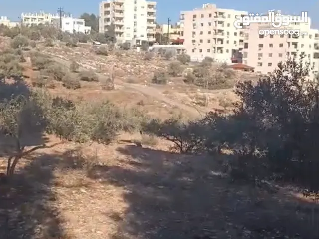 Residential Land for Sale in Irbid Sama Al-Rousan