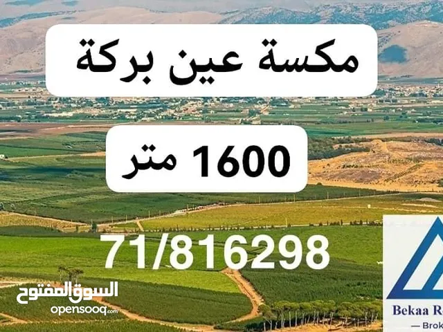 Residential Land for Sale in Zahle Chtoura