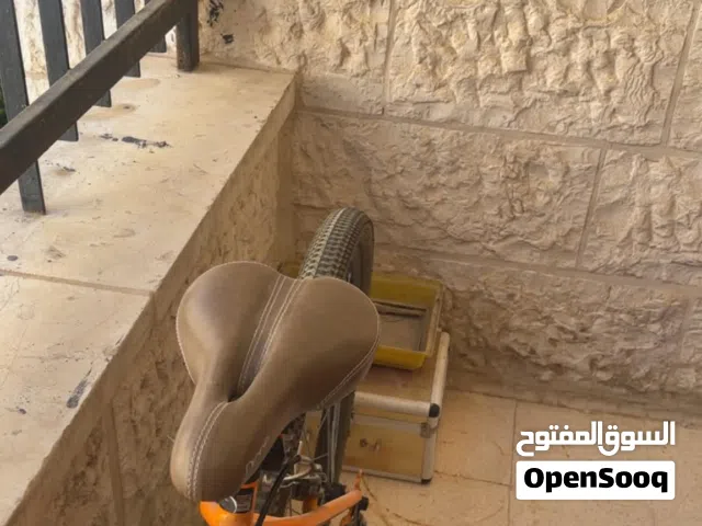 بسكليت جنط 29