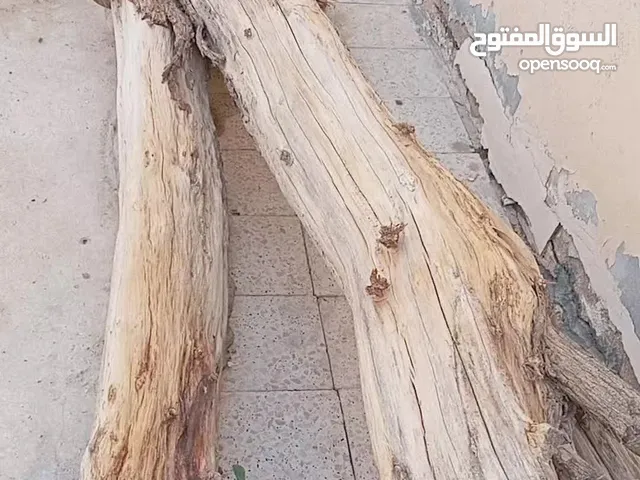 شجرة للبيع بحريملاء