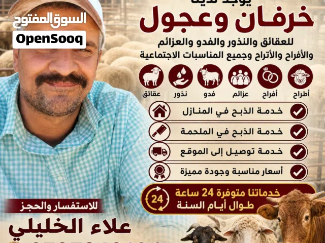 ذبح وبيع عقائق نذور فدو ولجميع المناسبات الاجتماعية كافة