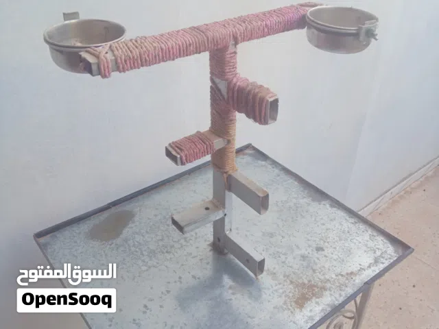 حاملة طائر الببغاء