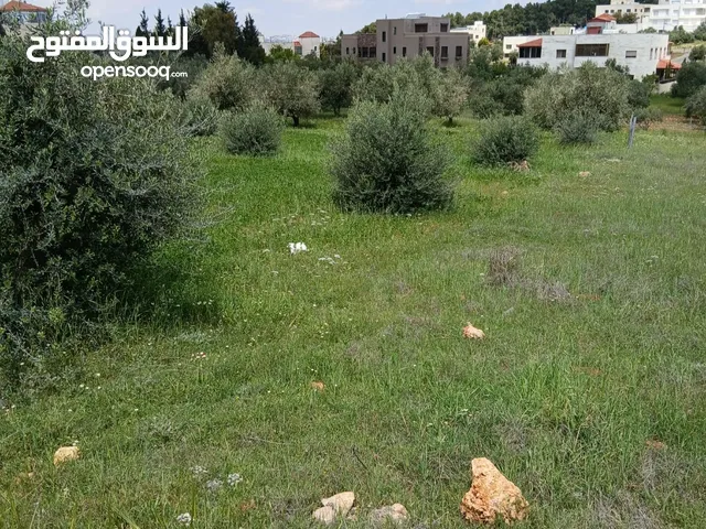 قطع اراضي سكنيه للبيع