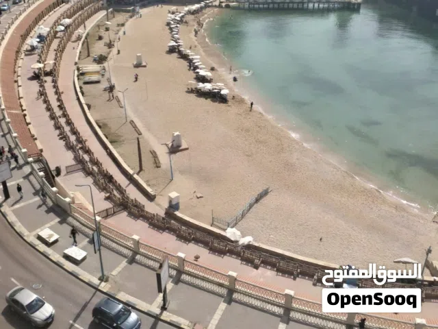 فيو هايل علي البحر ستالي خيلي