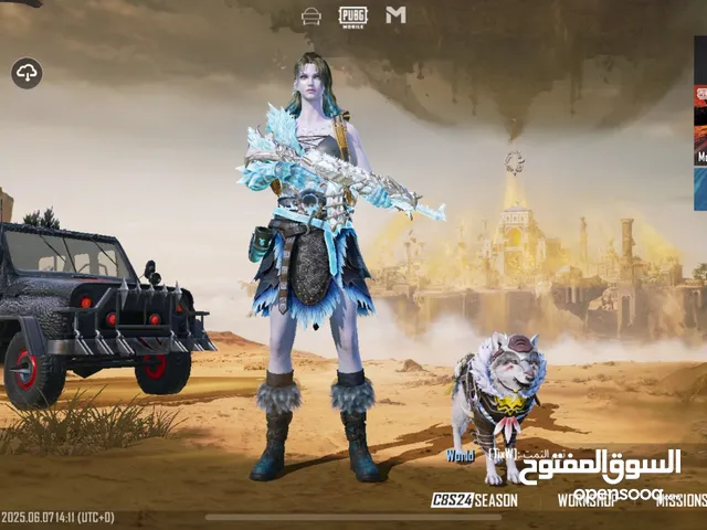 Pubg Accounts and Characters for Sale in Amman