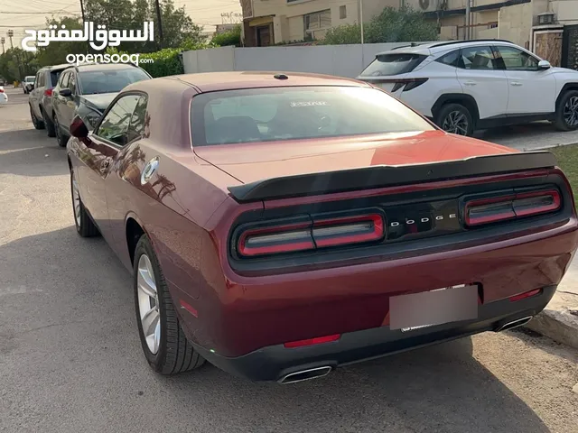 Used Dodge Challenger in Baghdad