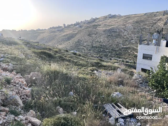 قطعه ارض للبيع قريبه على نابلس الجديده