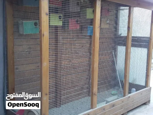 قفص عصافير مخدوم بالخشب المعالج