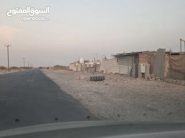للايجار أرض زراعية في صناعية بركاء
