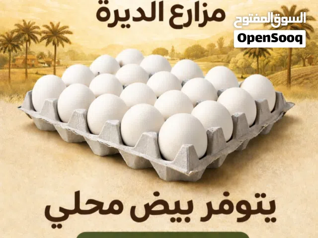 بيض عماني (محلي)