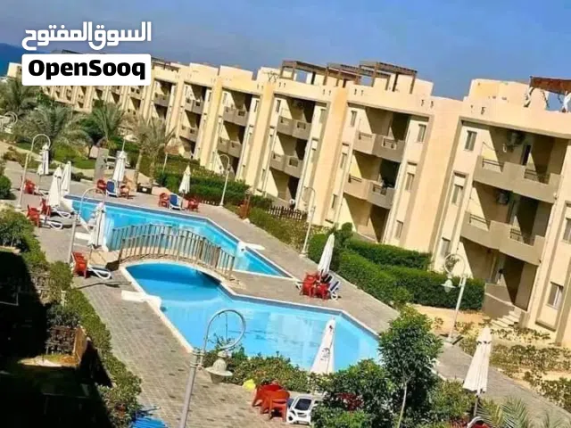 شاليهات للايجار بقريه موسي كوست راس صدر متاح شاليهات غرفتين واستوديهات من المالك مباشره وتس اب.....